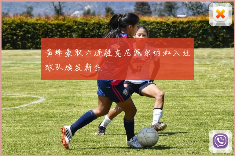 黄蜂豪取六连胜克尼佩尔的加入让球队焕发新生