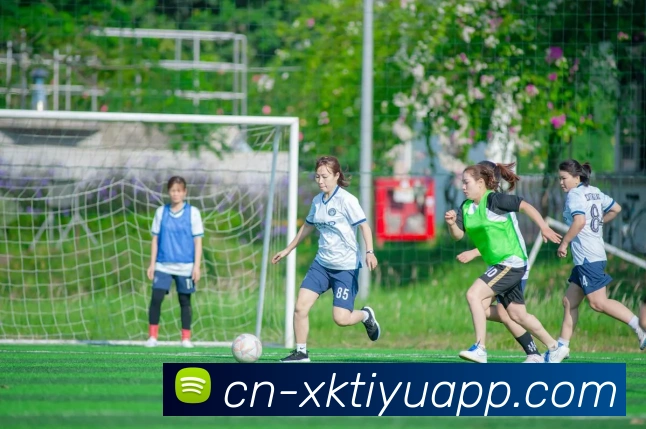 星空体育APP 封面图